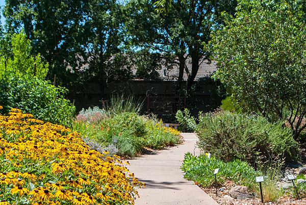 Water Efficient Landscape Gardens In August Sacramento Mgs