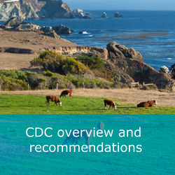 CDC overview and recommendations