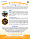 Adult_Honeybee_Factsheet-Eng_thmbnl-100w-129h