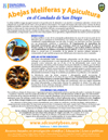 SPANISH_Adult_Honeybee_Factsheet_thmbnl-100w-129h