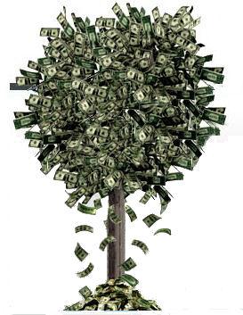 bring-the-fresh-money-tree