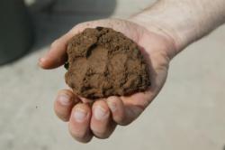 Clay Soil, Finger impressions (Small)