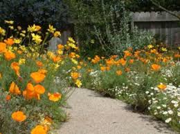 Master Your Garden Month By Month Santa Barbara County