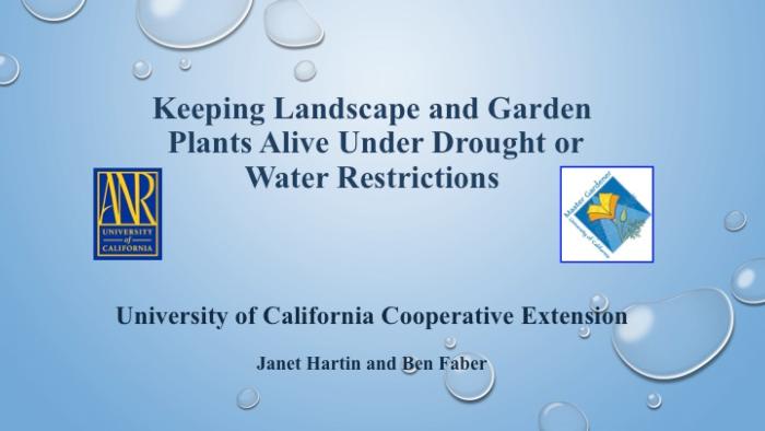 Keeping Landscape and Garden Plants Alive Under Drought or Water Restrictions