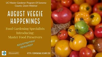 Join us for our August Veggie Happenings on August 10th