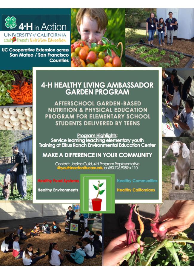 4-H Healthy Living Ambassadors! Now recruiting 50 teens to deliver garden based nutrition and physical education programs to local elementary schools