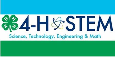 NEW STEM Logo