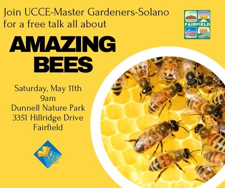 Bees May 11