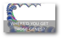Where'd You Get Those Genes?