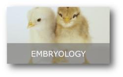 Embryology kit