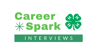 Career Spark Interviews Logo