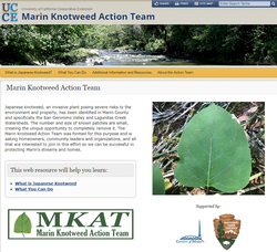 Marin Knotweed Action Team