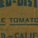 Merced-District Pole Tomatoes