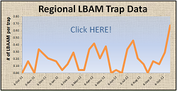 Regional LBAM Trap Data