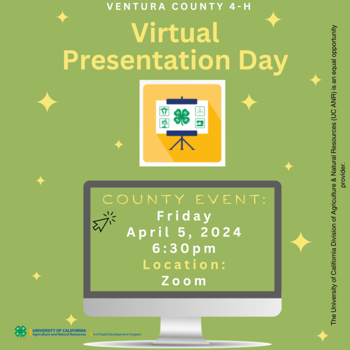 Virtual Presentation Day 2024