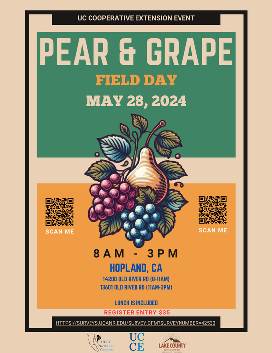 Pear  Grape Day 2024