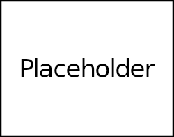 PlaceHolder250example