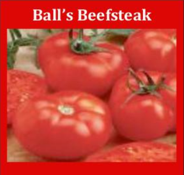 Ball's Beefsteak with label