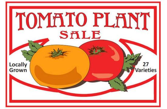 Tomato Sale and Education Day!