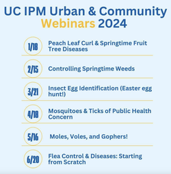 UC IPM Webinars 2024