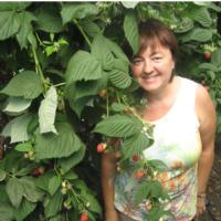 Carmen Lopez in the raspberries