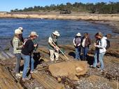California Naturalists explore fossils with geologist Ed Clifton at Point Lobos State Natural Reserve in Monterey County.