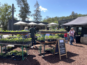 Consumers shop for vegetable and herb seedlings at the Flatbed Farm farmstand in Sonoma County. Photo courtesy of Sonoma County Farm Trails