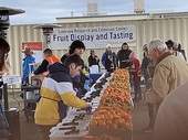 Visitors can taste different citrus varieties at Lindcove REC on Dec. 13-14.