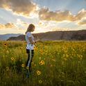 Dustin Blakeys daughter admires sunflowers growing along the Owens River. By Dustin Blakey