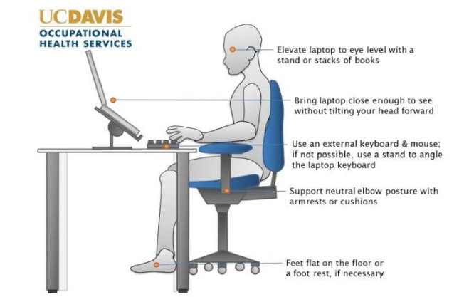 New online ergonomic self-assessment tool available - ANR Employee News ...