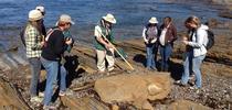 California Naturalists explore fossils with geologist Ed Clifton at Point Lobos State Natural Reserve in Monterey County. for ANR Employee News Blog