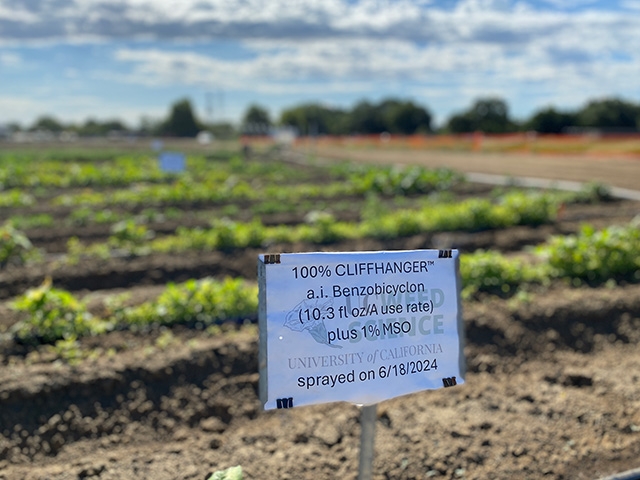 Sign in front of crop field reads: