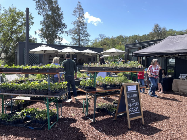 Five people shop among racks of seedlings. A chalkboard sandwich board reads: 