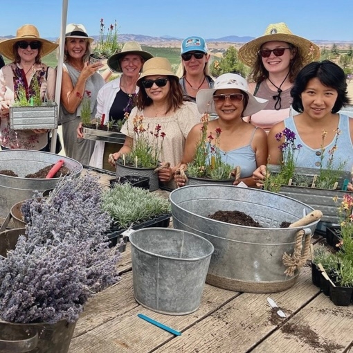 Eight women, 7 of whom are wearing hats, hold metal planters containing blooming lavender plants.