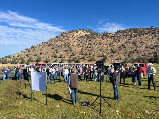 Large group of people stand under blue skies on grass with a shrub-studded hill in backdrop, listening to speakers.