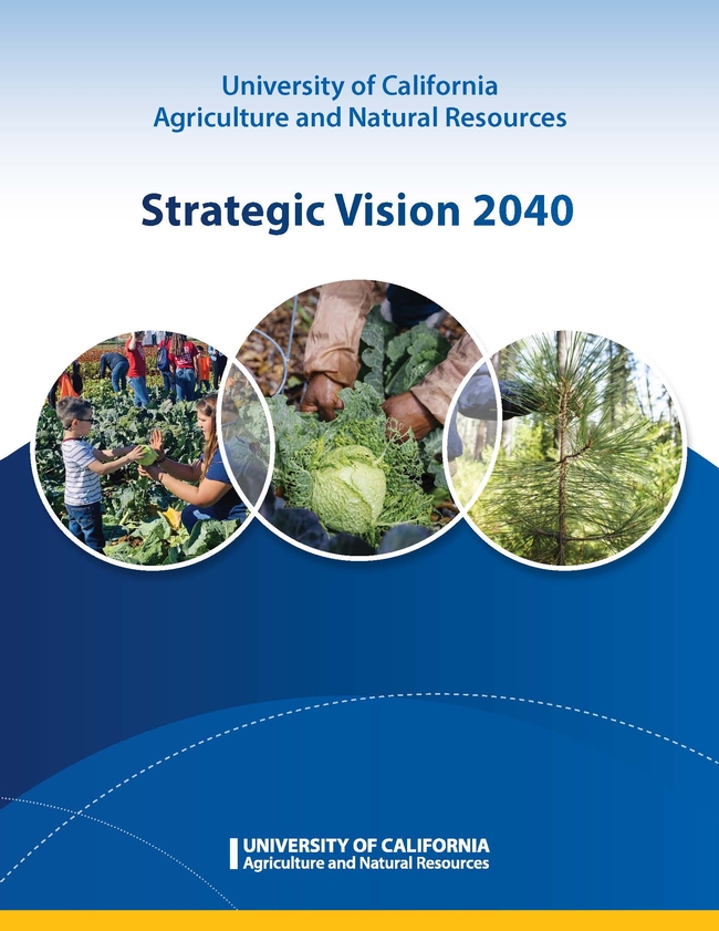 Cover image of Strategic Vision 2040 document