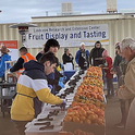 Visitors can taste different citrus varieties at Lindcove REC on Dec. 13-14.