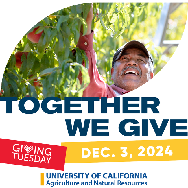 Together we give. GivingTuesday Dec. 3