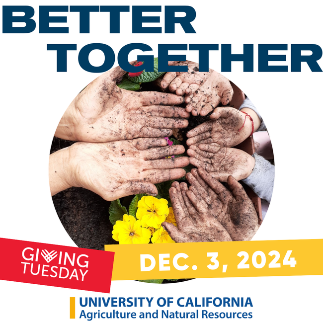 Better together. Hands with soil