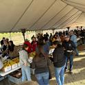 About 750 people participated in annual Fruit Display and Tasting at UC Lindcove Research and Extension Center on Dec. 13 and 14.