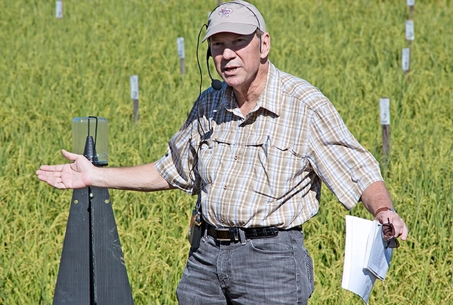 Larry Godfrey spoke at the Rice Field Day in 2016. Godfrey was widely known for his research on applied insect ecology and integrated pest management strategies. Photo by Evett Kilmartin