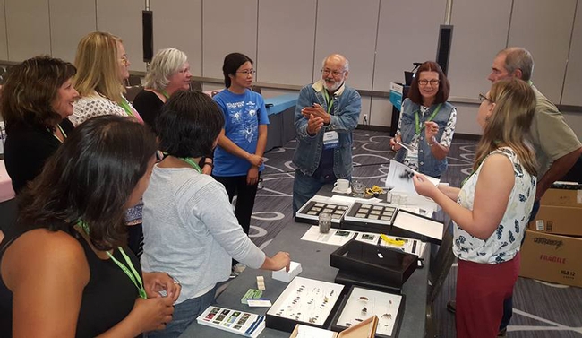 Anne Schellman, urban UC IPM educator, taught conference participants how to make an insect collection.