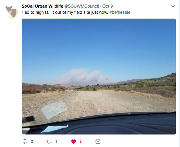 While most news media attention was focused on Northern California fires, Niamh Quinn, who tweets as SoCal Urban Wildlife, had to flee wildfire in Orange County.