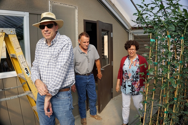 Lindcove REC director Beth Grafton-Cardwell shows vice provost Mark Lagrimini, left, around a citrus green house. Kurt Schmidt, the principal superintendent of agriculture, center, joined them on the tour.