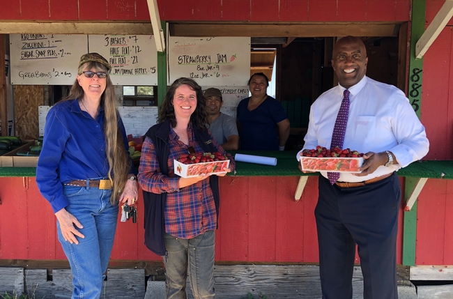 UCCE farm advisor Margaret Lloyd, in plaid shirt, led Debbie Thompson, Sacramento County deputy ag commissioner, and Assemblymember Jim Cooper on a tour to meet Mien strawberry growers she works with.