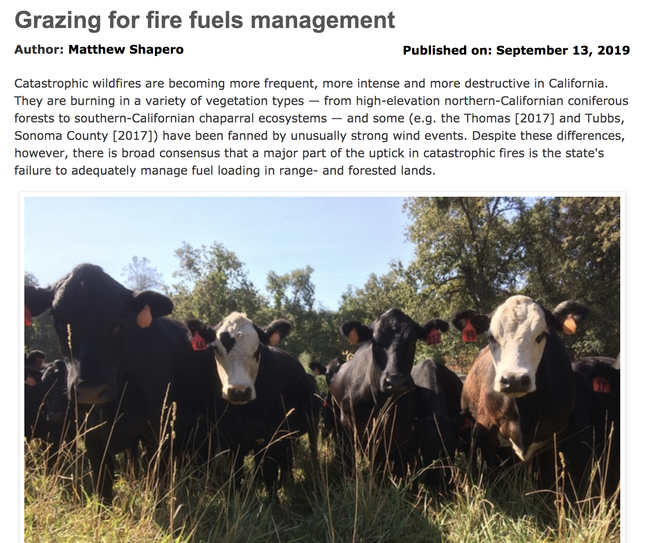 The Knowledge Stream provides practical educational content such as Matthew Shapero's grazing for fire fuels management story.