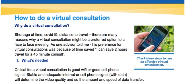 virtual consultation