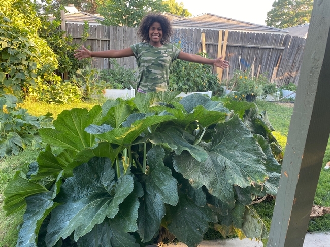 Minerva Gonzalez stands with arms stretched out to the sides to show the width of a squash plant.