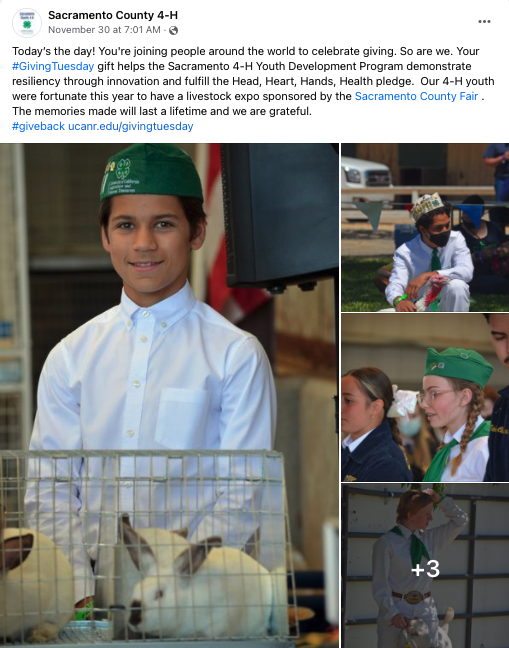 A boy in a white shirt and green 4-H hat poses with a rabbit in a cage. Three smaller photos feature 4-Hers in uniform.