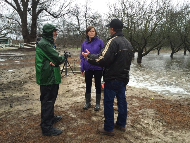 From left, Ken Shackel, Helen Dahlke and Roger Duncan discuss groundwater recharge in an almond orchard in 2016.